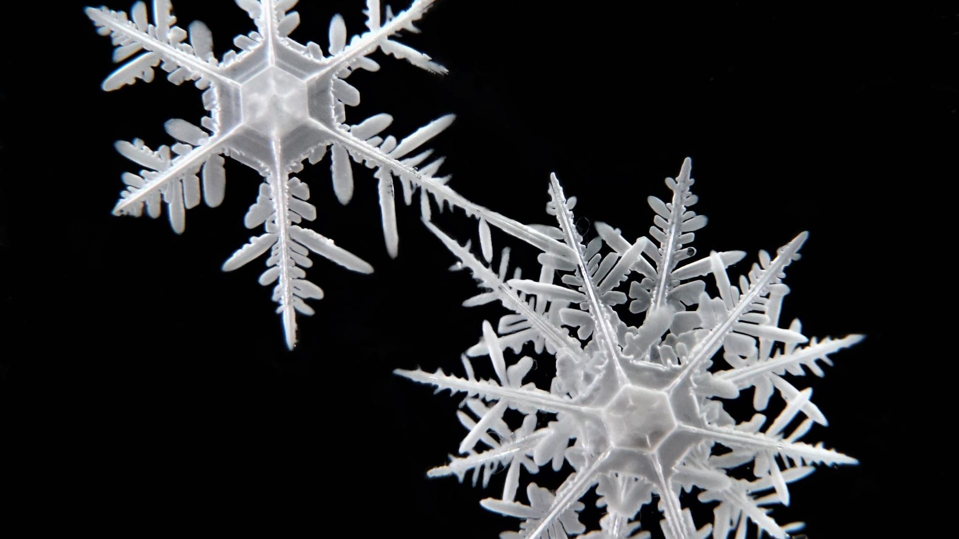 Paar verewigt Schneeflocken hinter Glas
