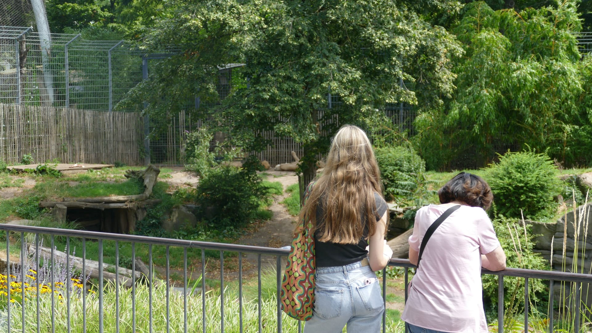 Besucher vor dem Löwenbereich: Die meisten Gäste haben von dem Vorfall nichts mitbekommen.
