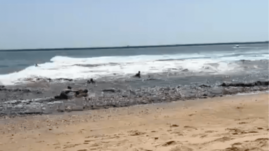 Eine enorme Welle spült mehrere Badegäste an den Strand.