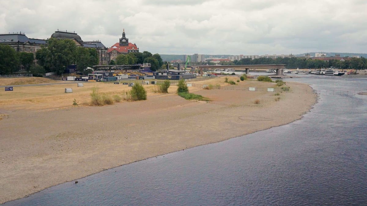 Dresden: Auto rollt mit Fahrer in die Elbe – Ersthelfer retten Senior