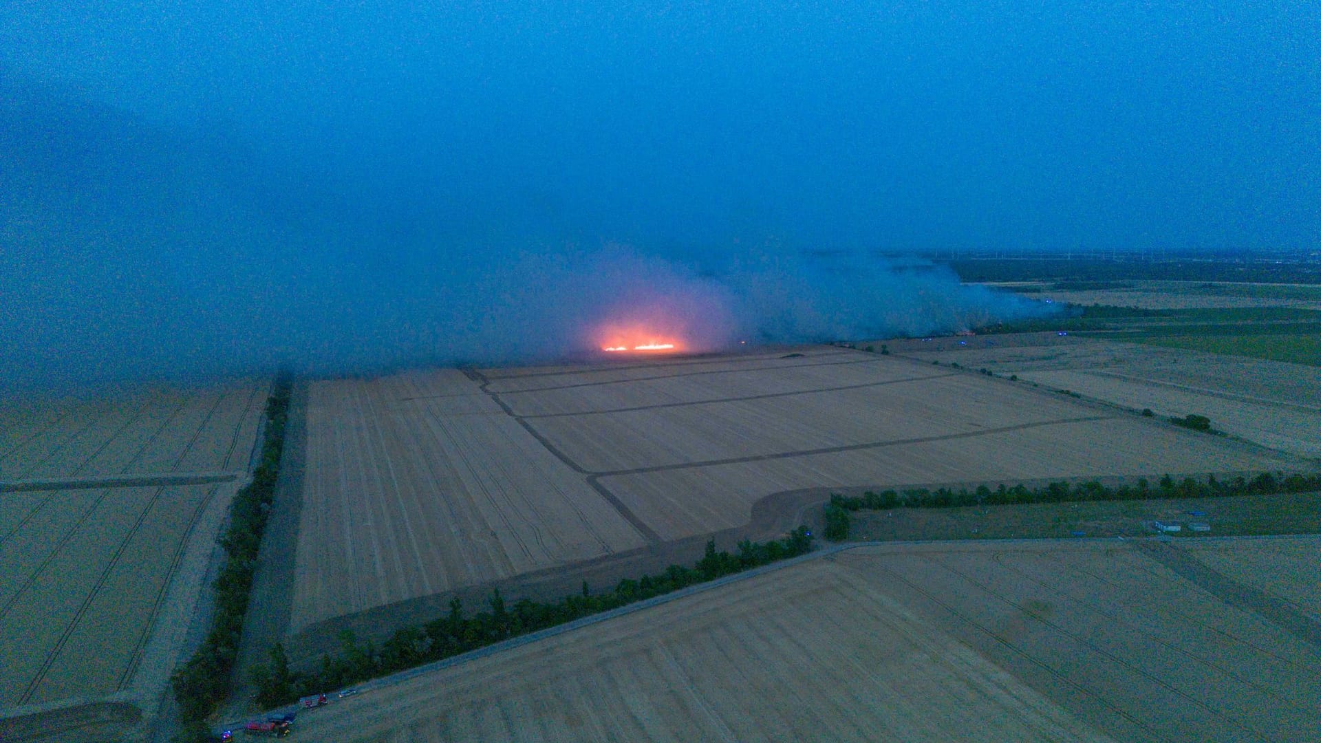 Waldbrand in der Gohrischheide