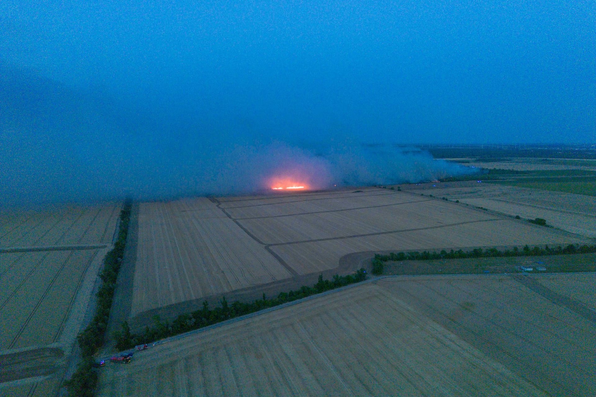 Waldbrand in der Gohrischheide