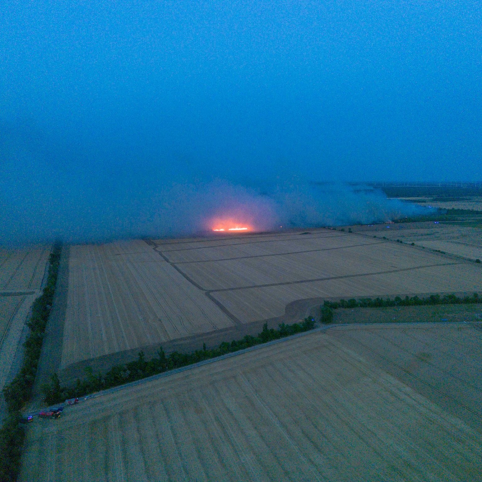 Waldbrand in der Gohrischheide