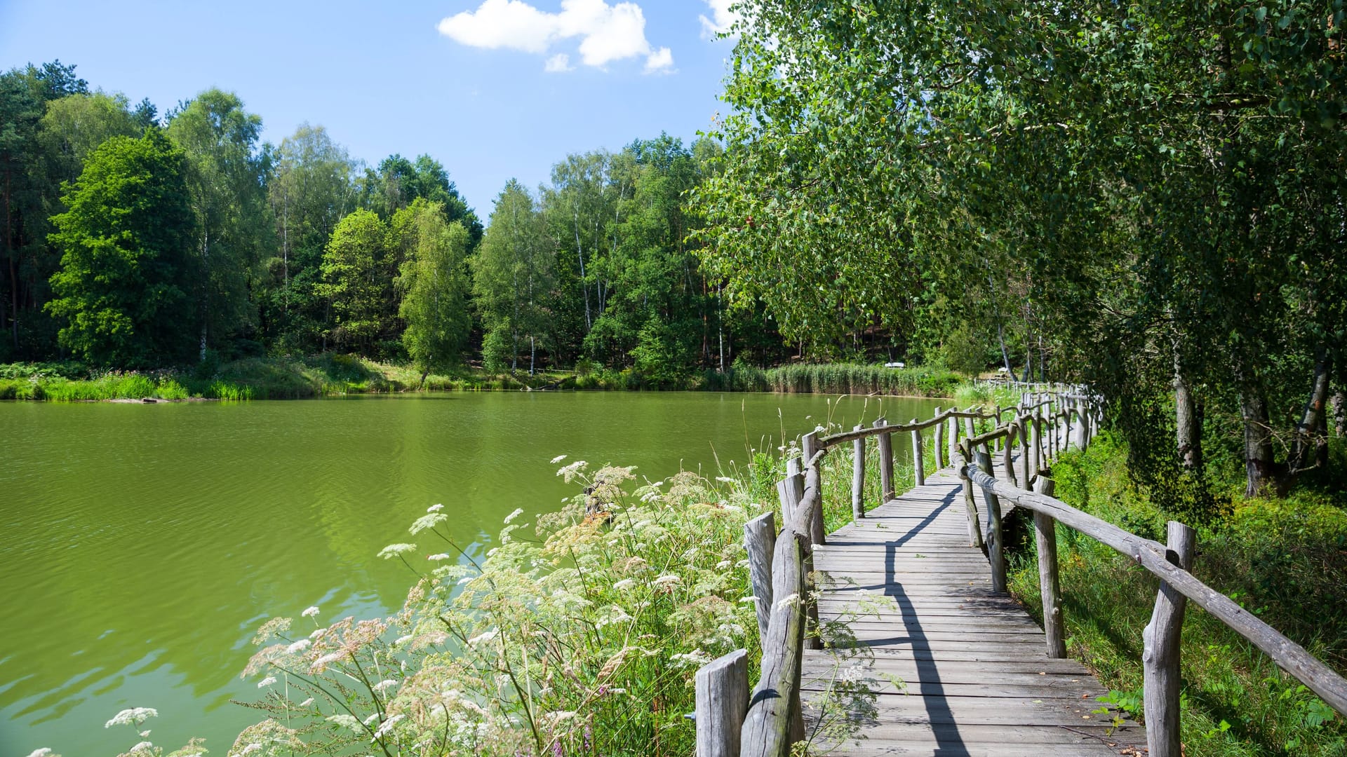 Der Biberpfad am See der Freundschaft (Archivbild): Auf Themenpfaden können Besucher das Naturschutzgebiet Königsbrücker Heide erkunden.