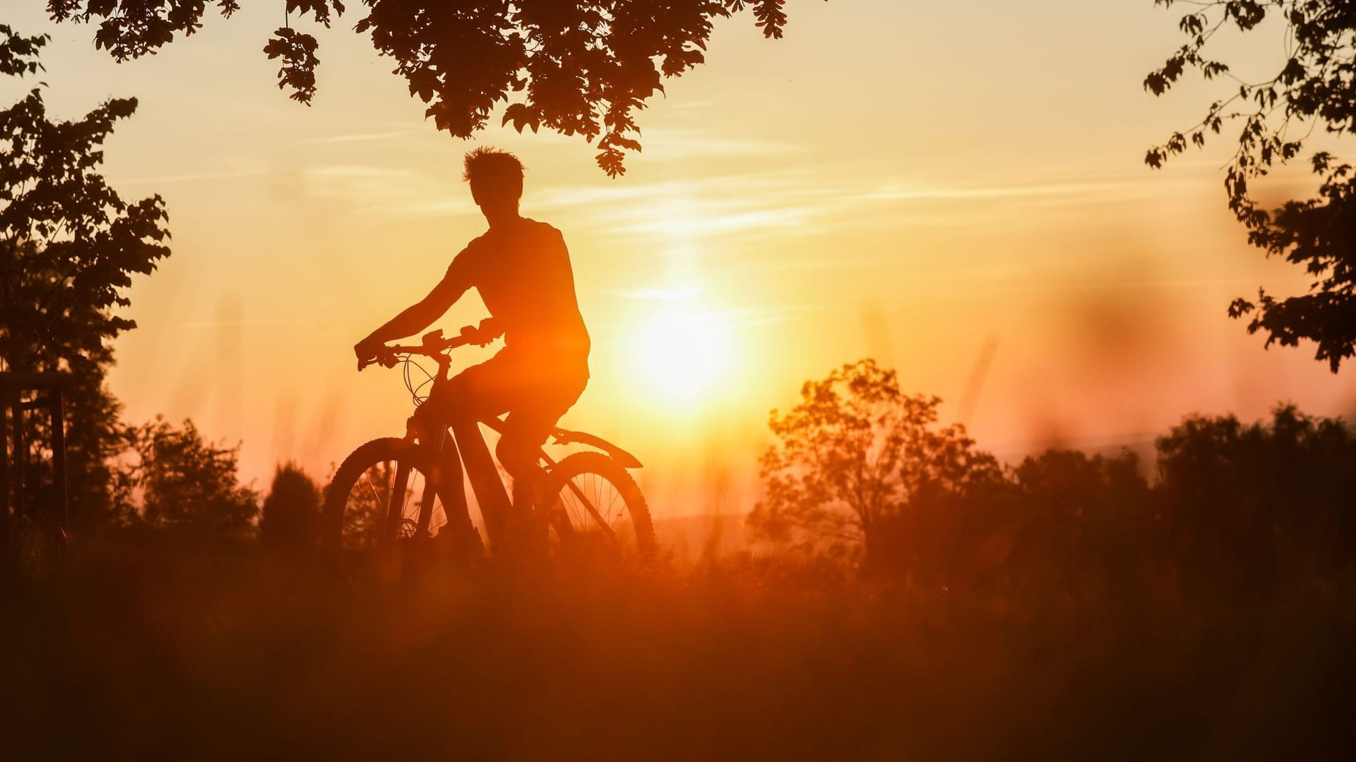 Sommer in Baden-Württemberg