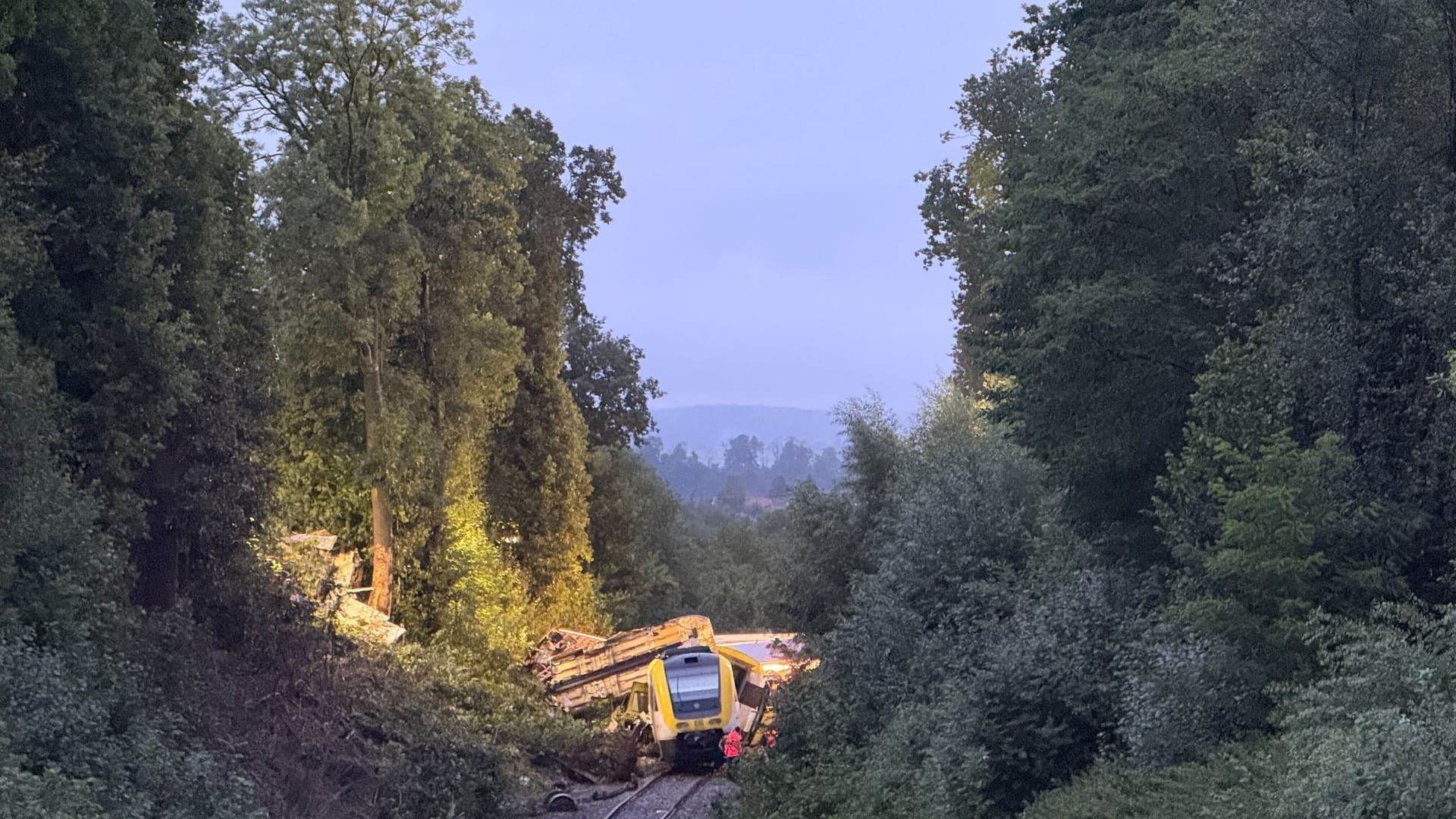 Der entgleiste Regionalexpress steht im Kreis Biberach zwischen den Ortsteilen Zwiefaltendorf und Zell auf der Strecke.