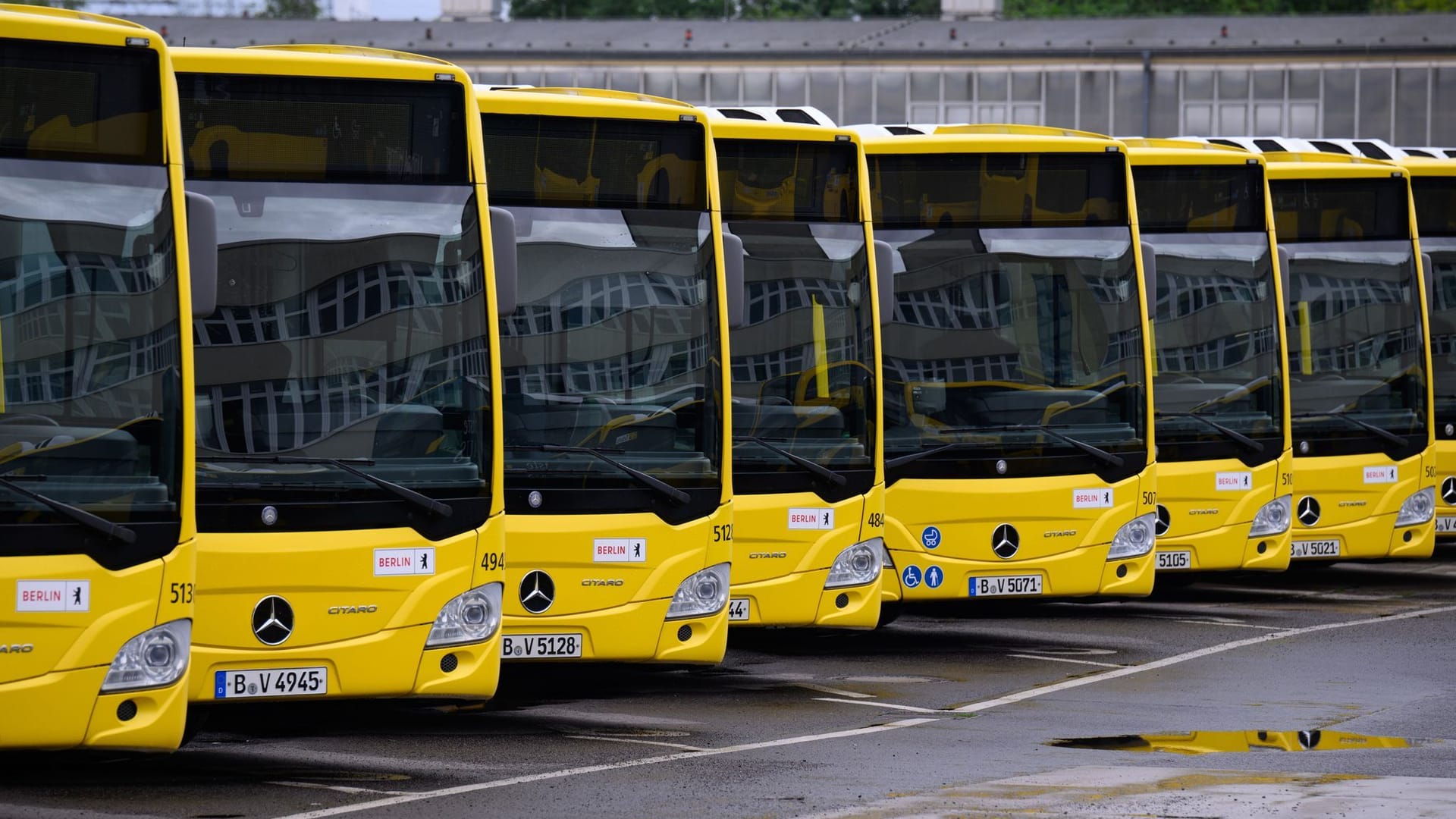 BVG-Busse