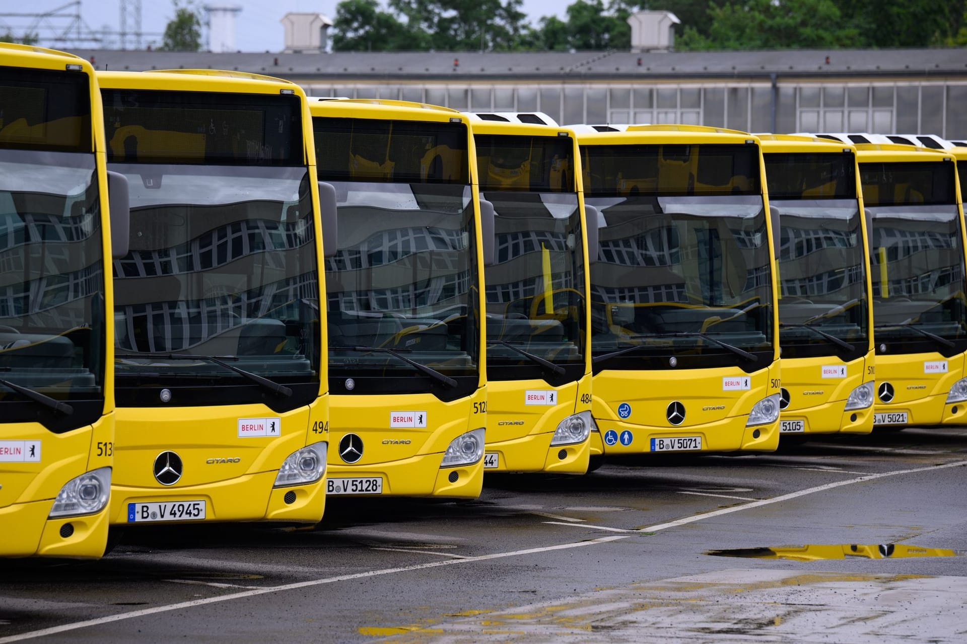 BVG-Busse