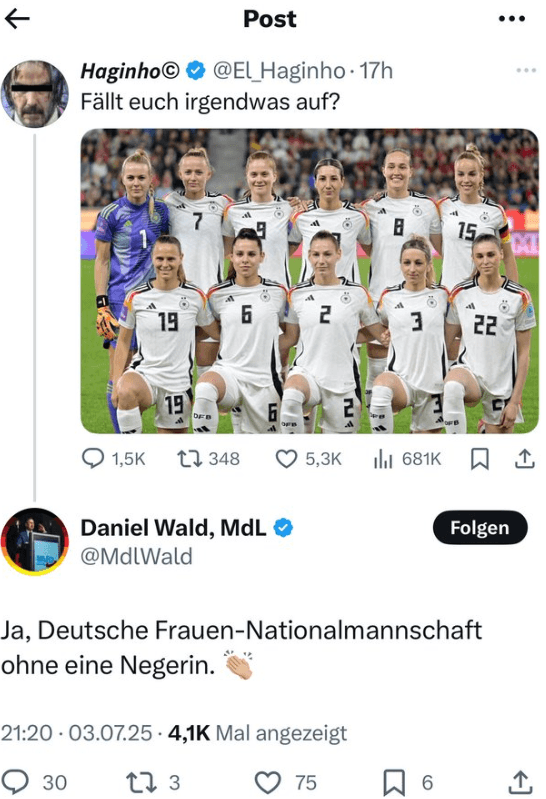 Rassistischer Kommentar auf X (Screenshot): Der AfD-Mann Daniel Wald nutzte einen abwertenden Begriff für schwarze Menschen.