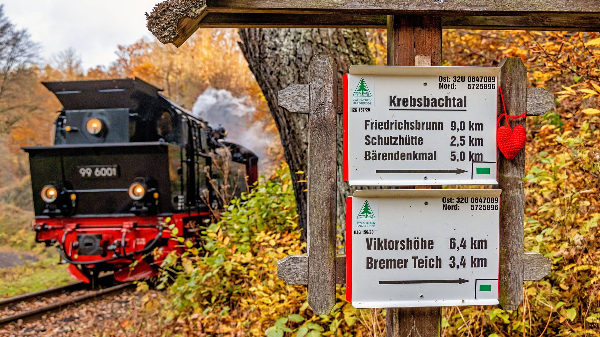 Beschilderung der Wanderwege im Harz (Archivbild): Der Bremer Teich liegt knapp zwei Kilometer östlich der Viktorshöhe.