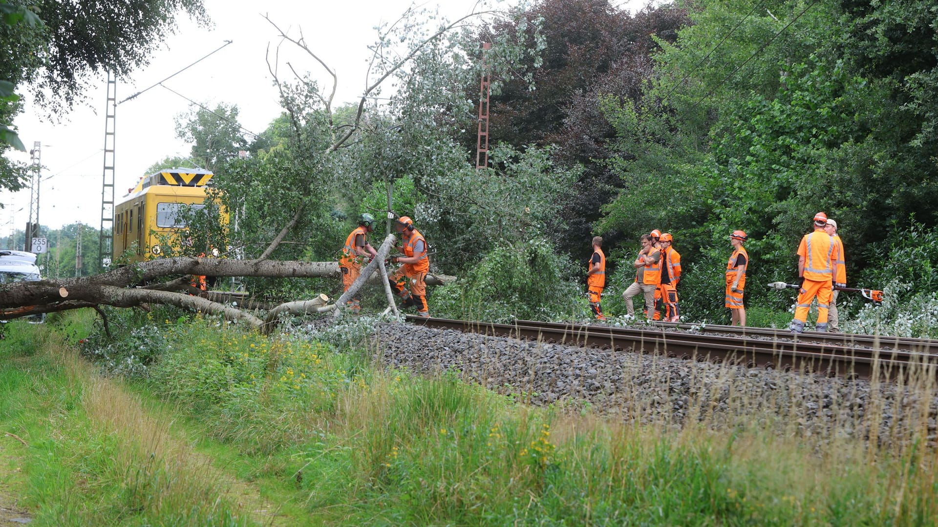 Baum blockiert Bahnstrecke Bremen - Hamburg Baum blockiert Bahnstrecke Bremen - Hamburg