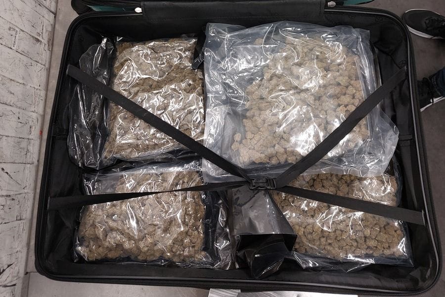Ein geöffneter Koffer mit Marihuana: Das verdächtige Gepäck wurde sichergestellt.