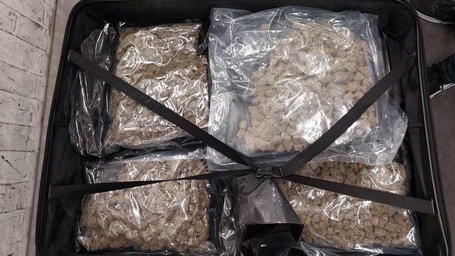 Ein geöffneter Koffer mit Marihuana: Das verdächtige Gepäck wurde sichergestellt.