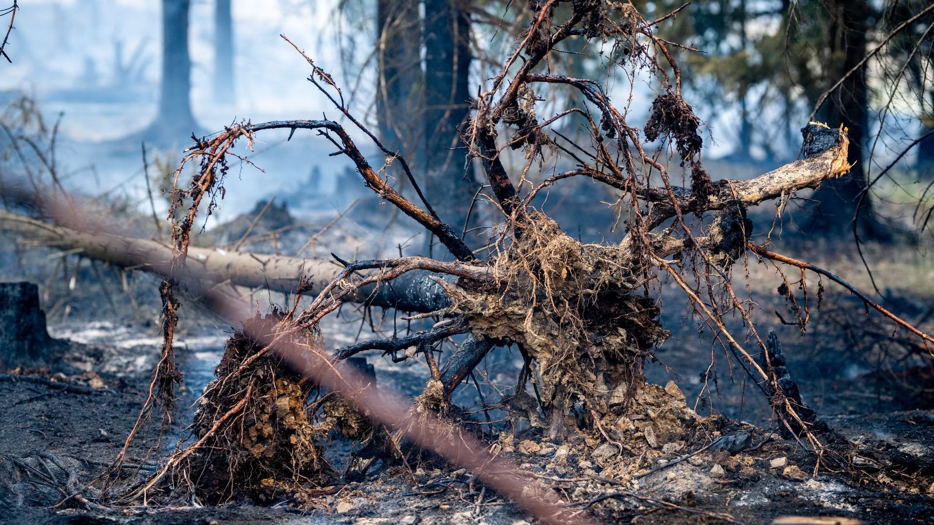 Waldbrand in Thüringen