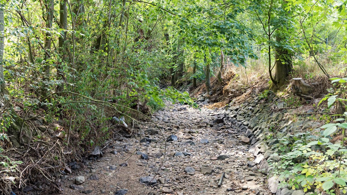 Frankfurt prepovedal zajemanje vode iz potokov in rek zaradi nizkega vodostaja