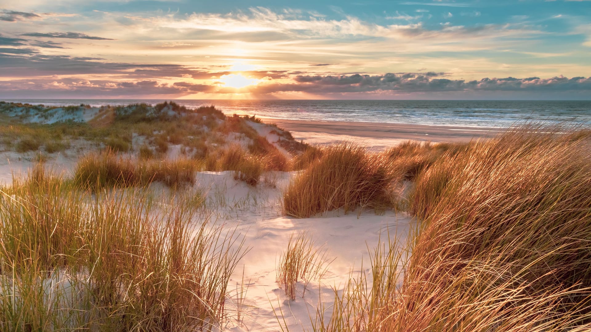 Quelle: Getty Images/ CreativeNature_nl