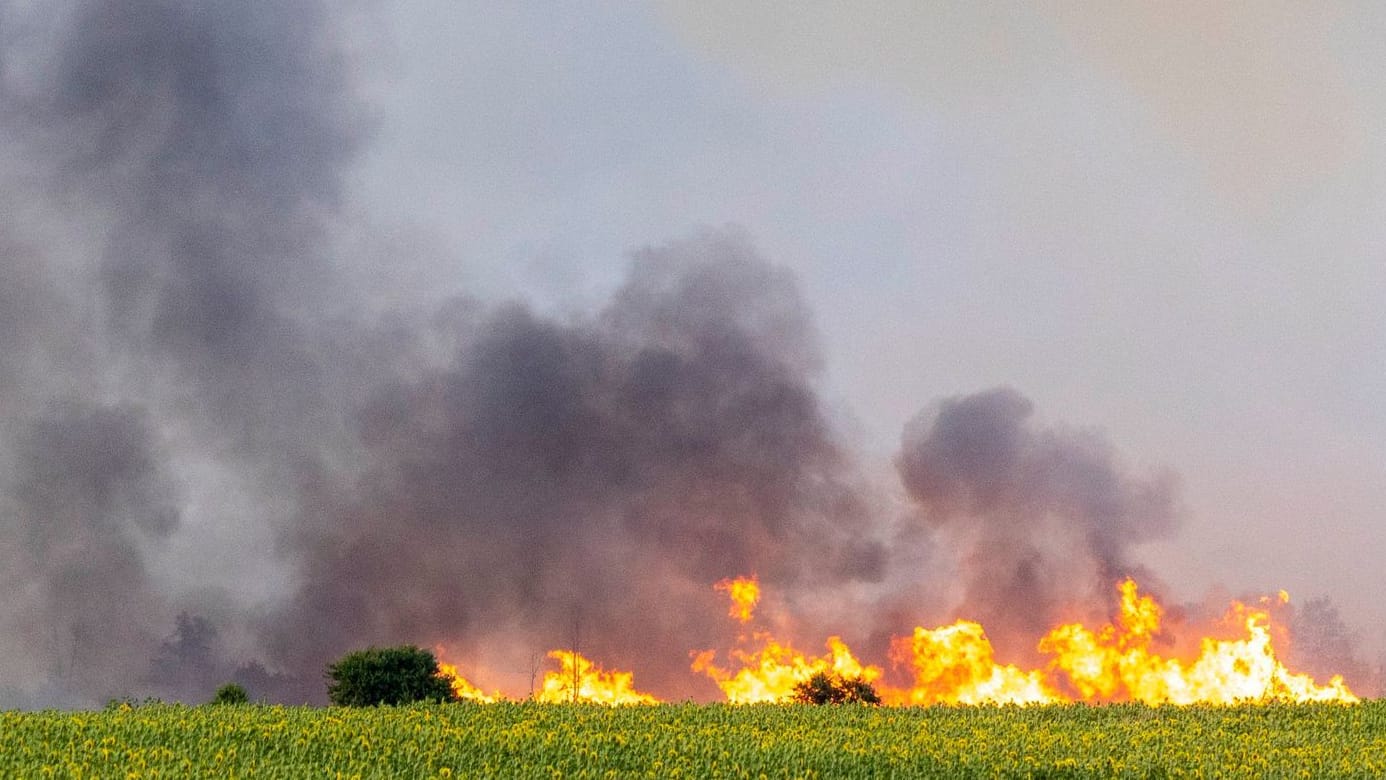 Flammen eines Wald- und Vegetationsbrandes in der Gohrischheide im Landkreis Meißen: Ein zweites Dorf soll evakuiert werden.