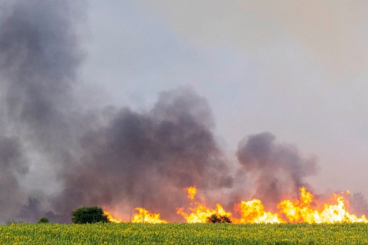 Flammen eines Wald- und Vegetationsbrandes in der Gohrischheide im Landkreis Meißen: Ein zweites Dorf soll evakuiert werden.