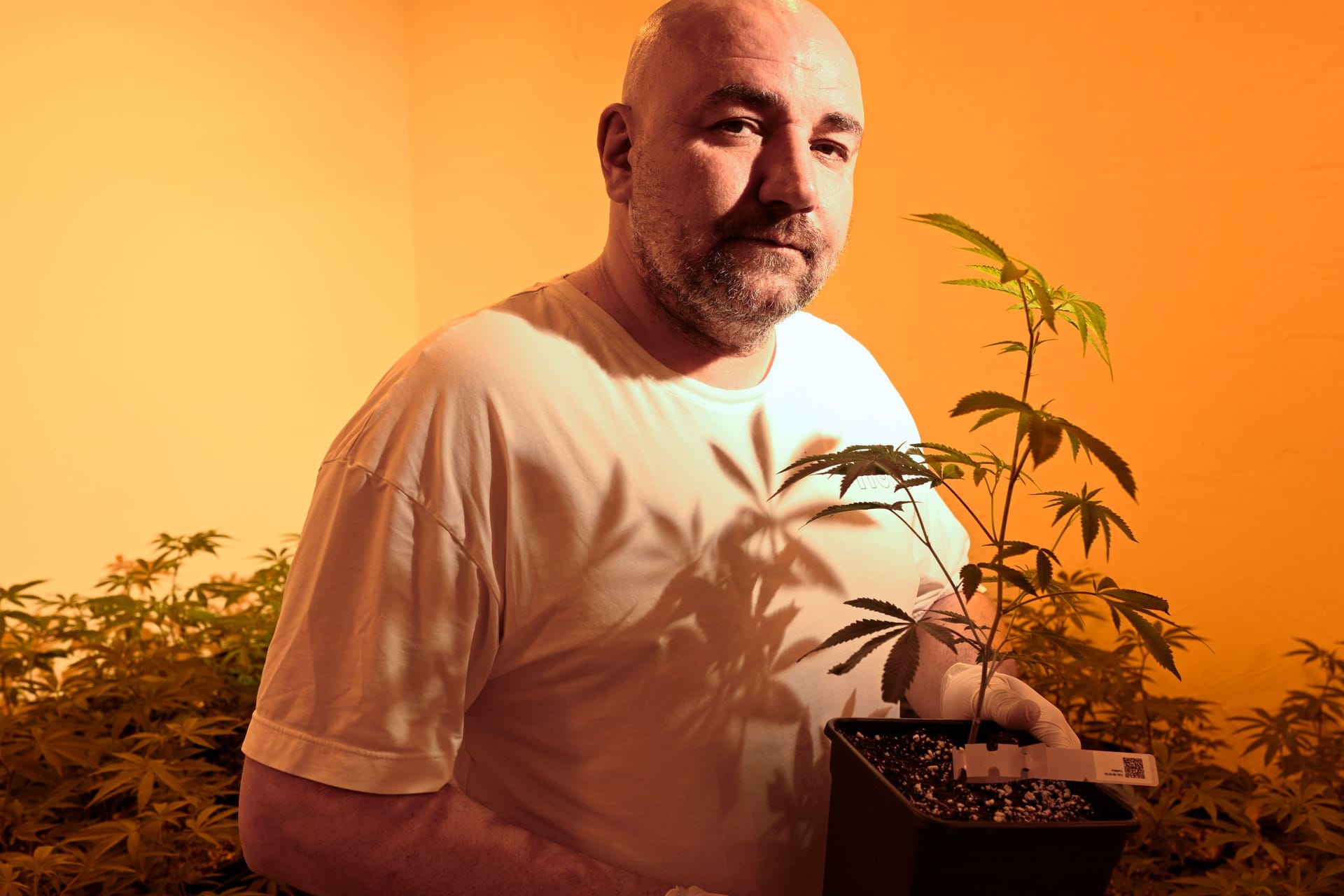Besuch beim Cannabis Social Club in Herne: Vereinsgründer Marcel Zimmermann mit Cannabispflanzen.