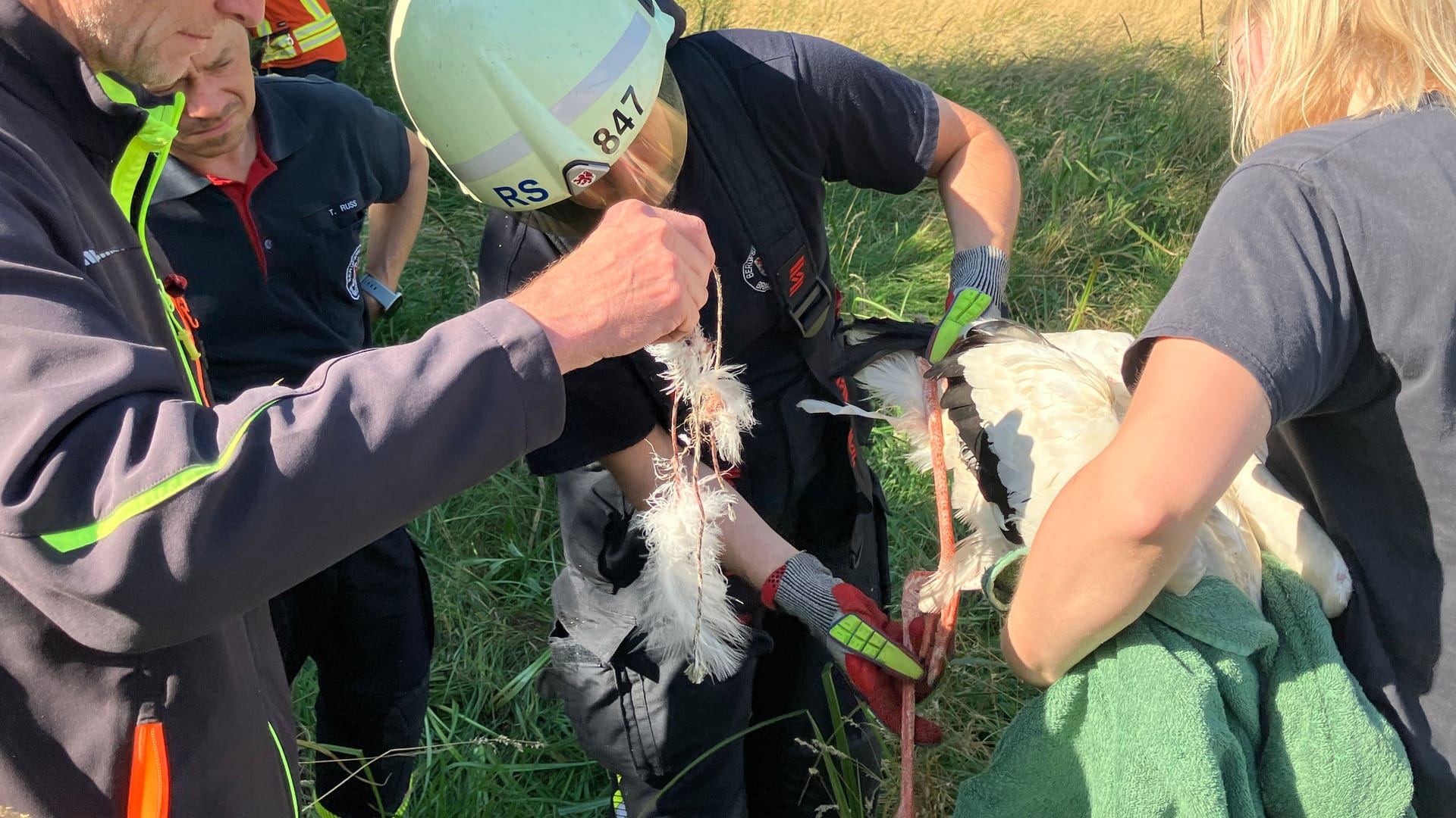 Ein Storch in Not: Die Feuerwehr Braunschweig rettet das verhedderte Tier.