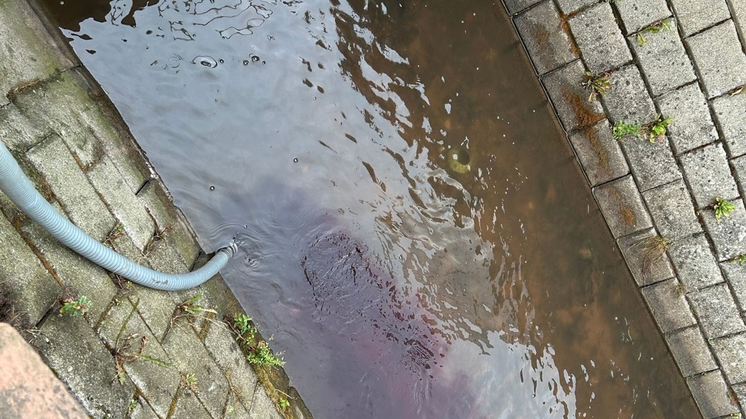 Der Schlauch im Bach: Hier wurde der Wein eingeleitet.