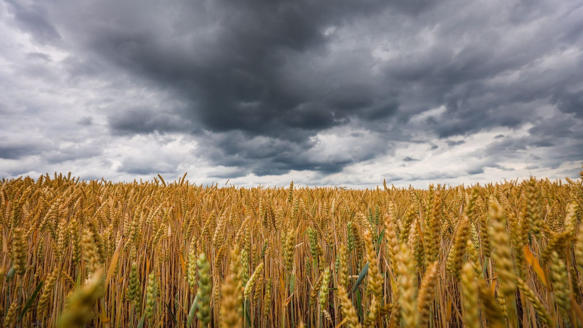 Dunkle Wolken in der Region Stuttgart