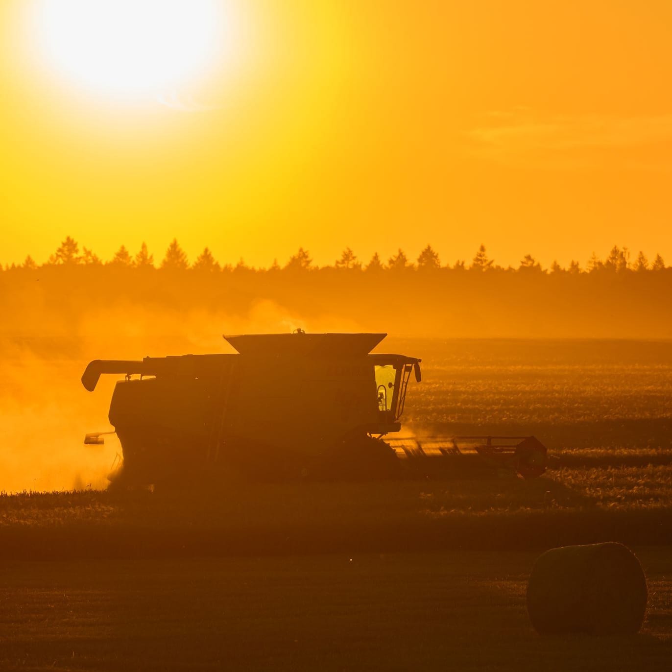 Getreideernte im Sonnenuntergang