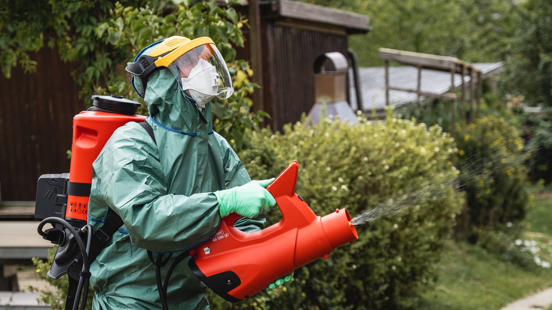 Bekämpfung in der Schweiz: Ein von Japankäfern befallenes Gewächs wird mit einem Insektizid behandelt.