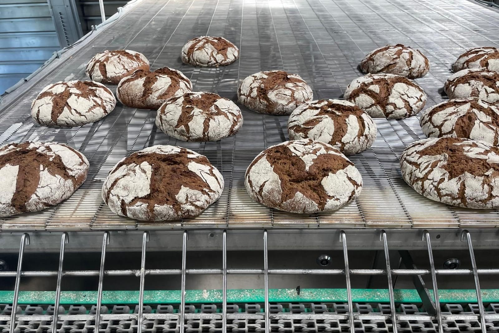 Frisch aus dem Ofen: In einer Großbäckerei wird das "flüssige Mehl" aus Biertreber bereits in Brotteigen getestet. Frisch aus dem Ofen: In einer Großbäckerei wird das "flüssige Mehl" aus Biertreber bereits in Brotteigen getestet.