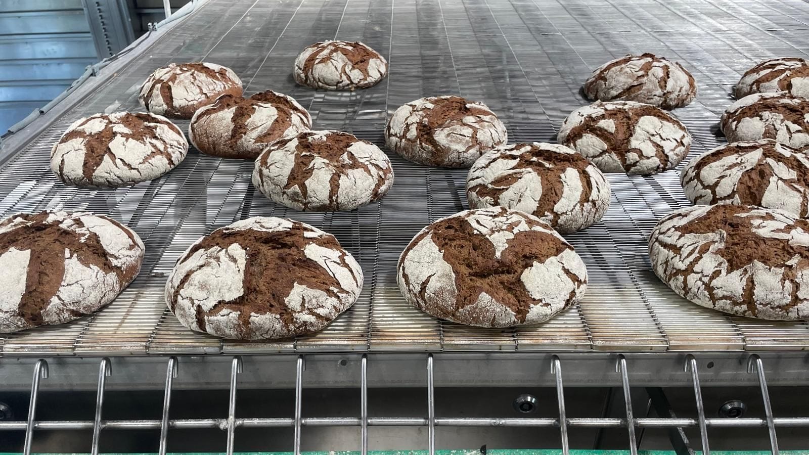 Frisch aus dem Ofen: In einer Großbäckerei wird das "flüssige Mehl" aus Biertreber bereits in Brotteigen getestet. Frisch aus dem Ofen: In einer Großbäckerei wird das "flüssige Mehl" aus Biertreber bereits in Brotteigen getestet.