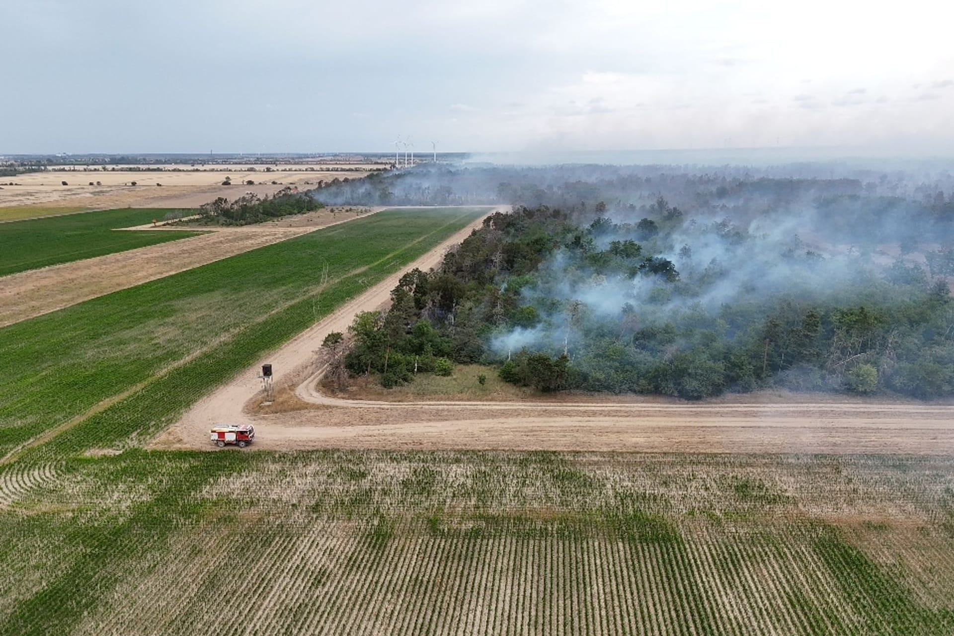 Waldbrand Gohrischheide