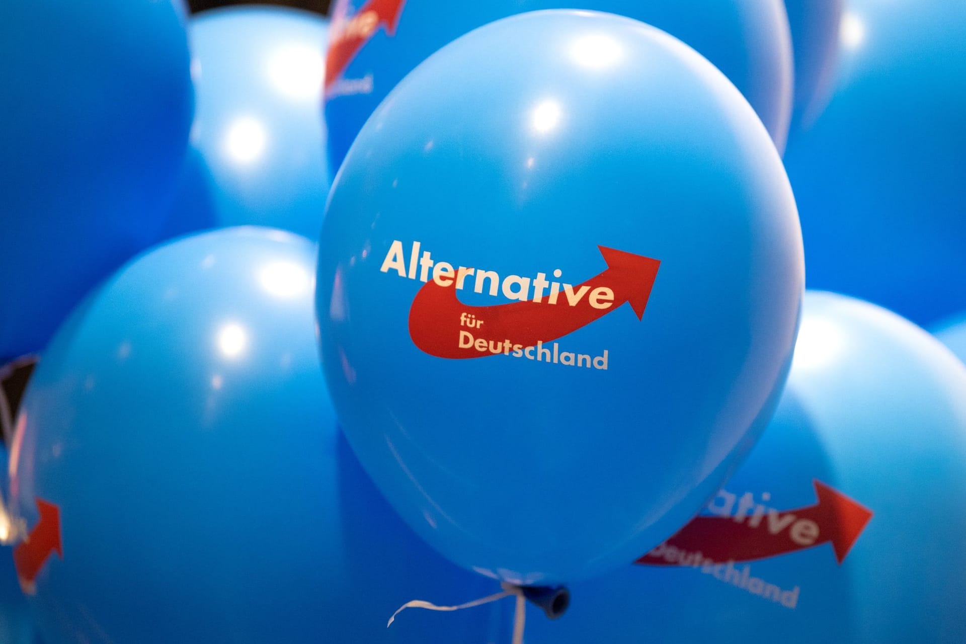 AfD Rheinland-Pfalz