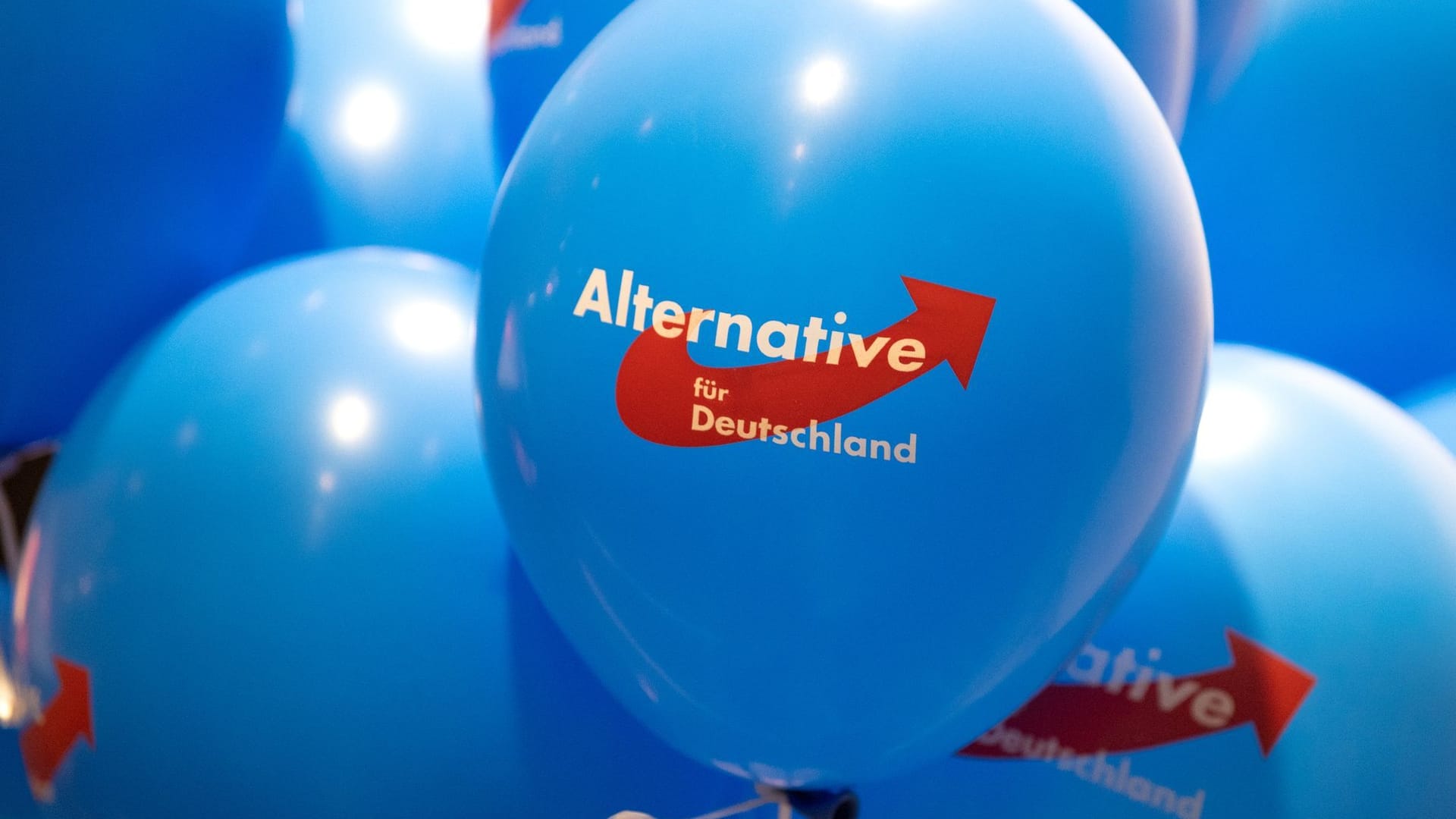 AfD Rheinland-Pfalz AfD Rheinland-Pfalz