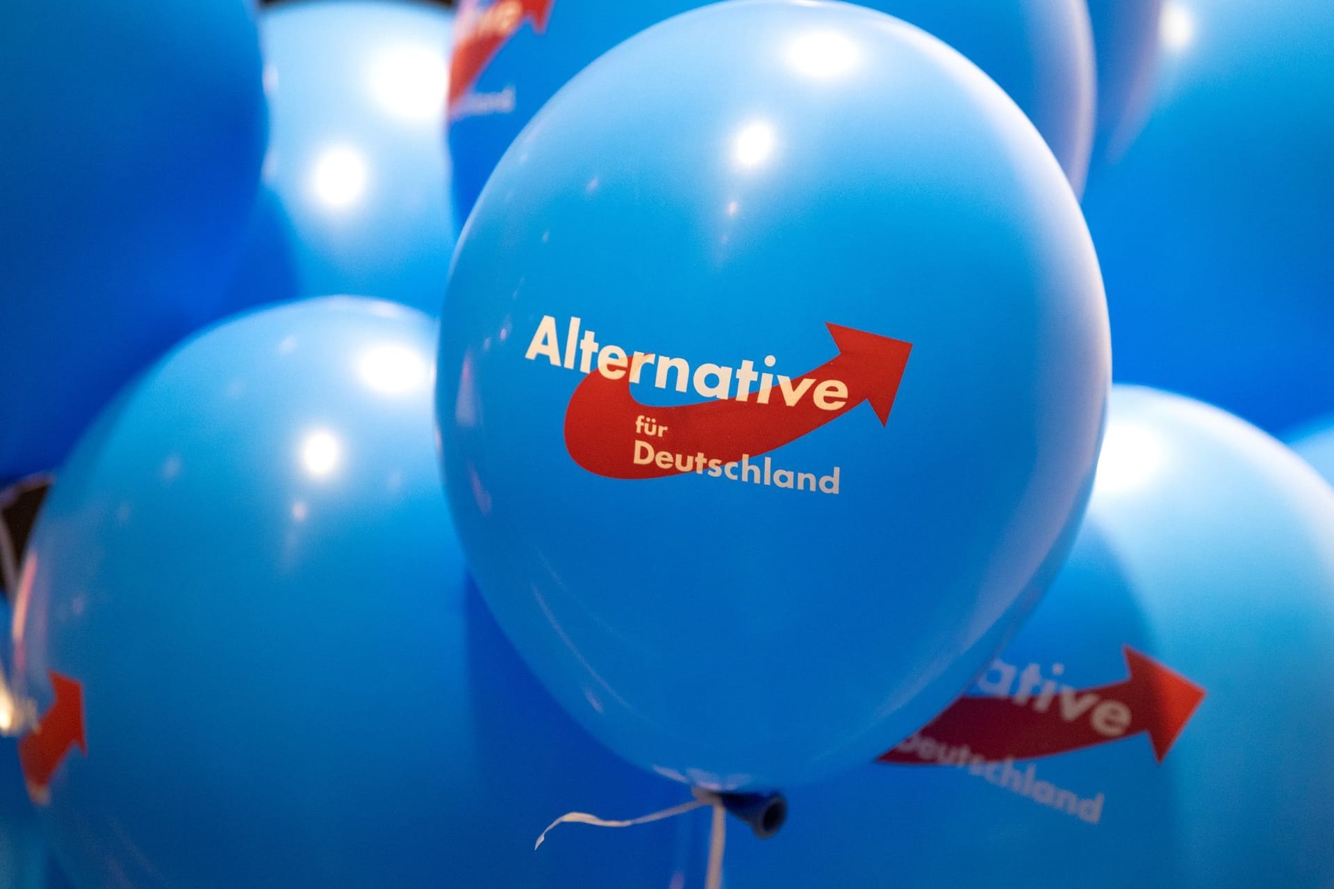 AfD Rheinland-Pfalz