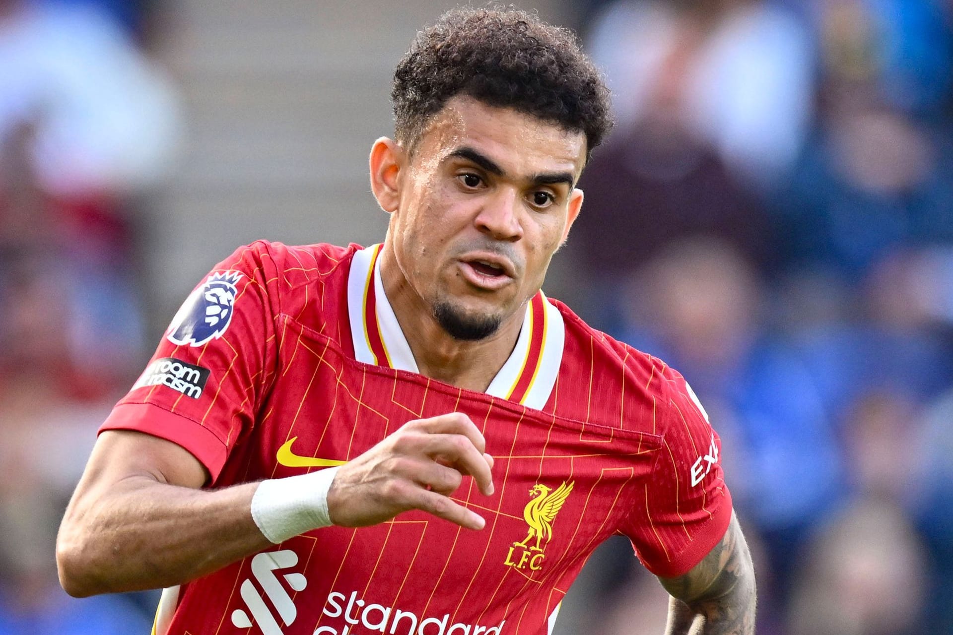 Künftig wohl im roten Trikot der Bayern: Luis Díaz steht vor dem Wechsel aus Liverpool nach München. Künftig wohl im roten Trikot der Bayern: Luis Díaz steht vor dem Wechsel aus Liverpool nach München.