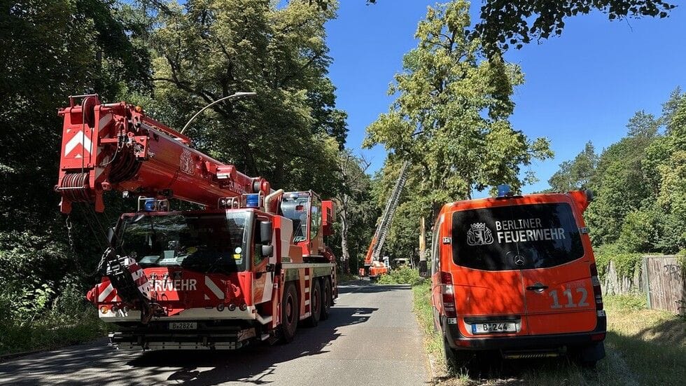 Einsatzkräfte der Feuerwehr in Heiligensee: Der Baum soll gefällt und abgetragen werden.
