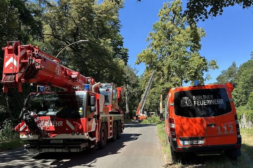 Einsatzkräfte der Feuerwehr in Heiligensee: Der Baum soll gefällt und abgetragen werden.