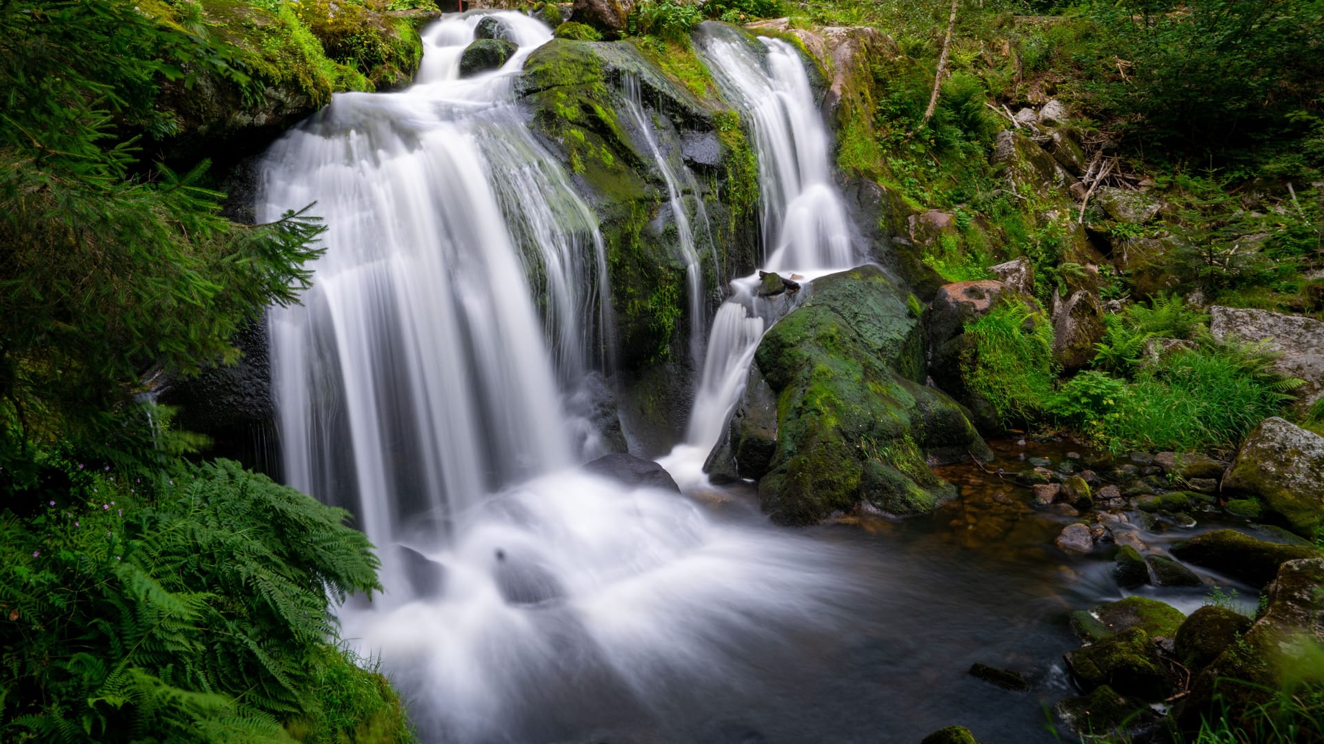 View of Triberg waterfalls surrounded by green vegetation. Germany.