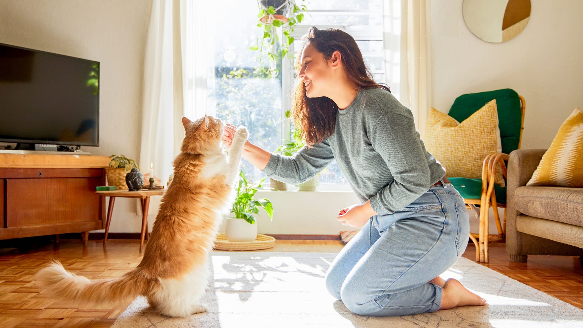 Spielen mit der Katze: Kratz- und Bisswunden können infiziert sein. Spielen mit der Katze: Kratz- und Bisswunden können infiziert sein.