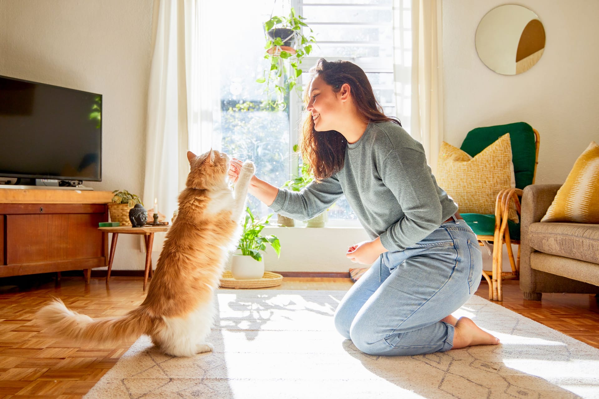 Spielen mit der Katze: Kratz- und Bisswunden können infiziert sein.