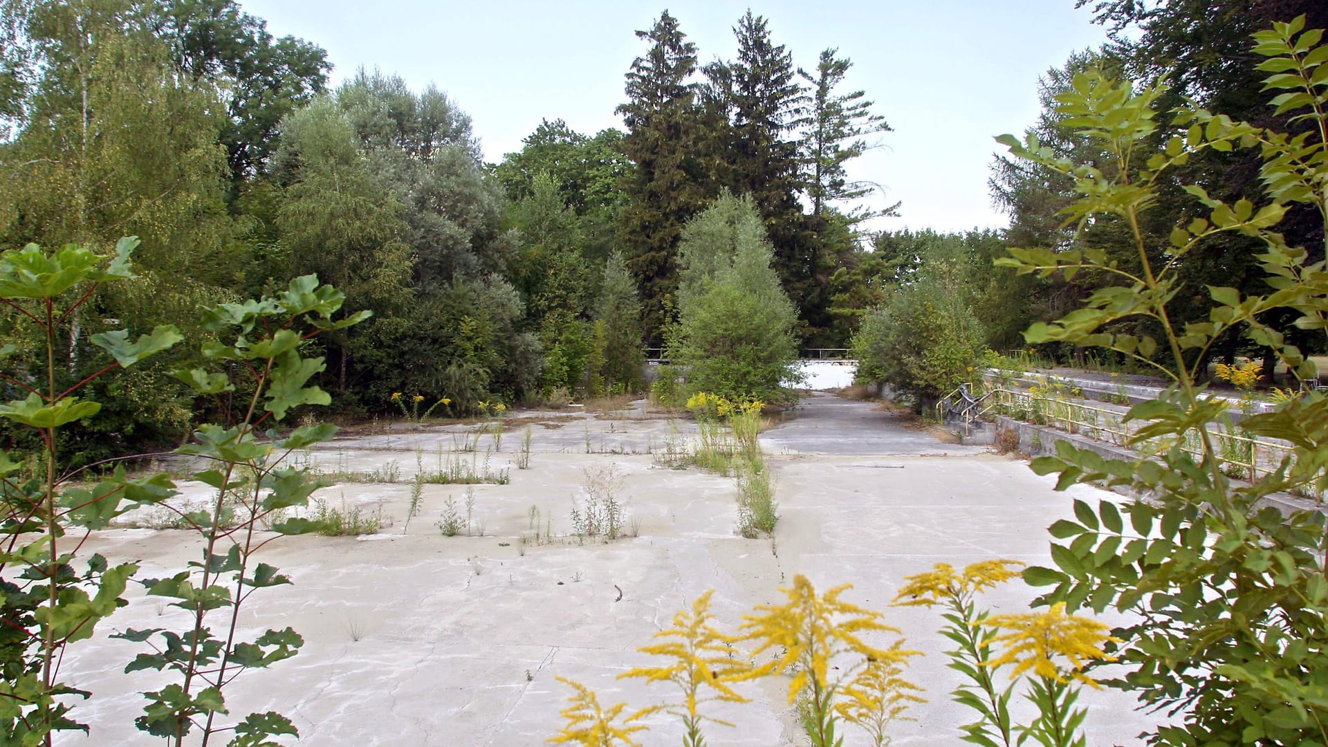 Ein ehemaliges Schwimmbecken (Symbolfoto): Droht dem Freibad in Brome jetzt das endgültige Aus?