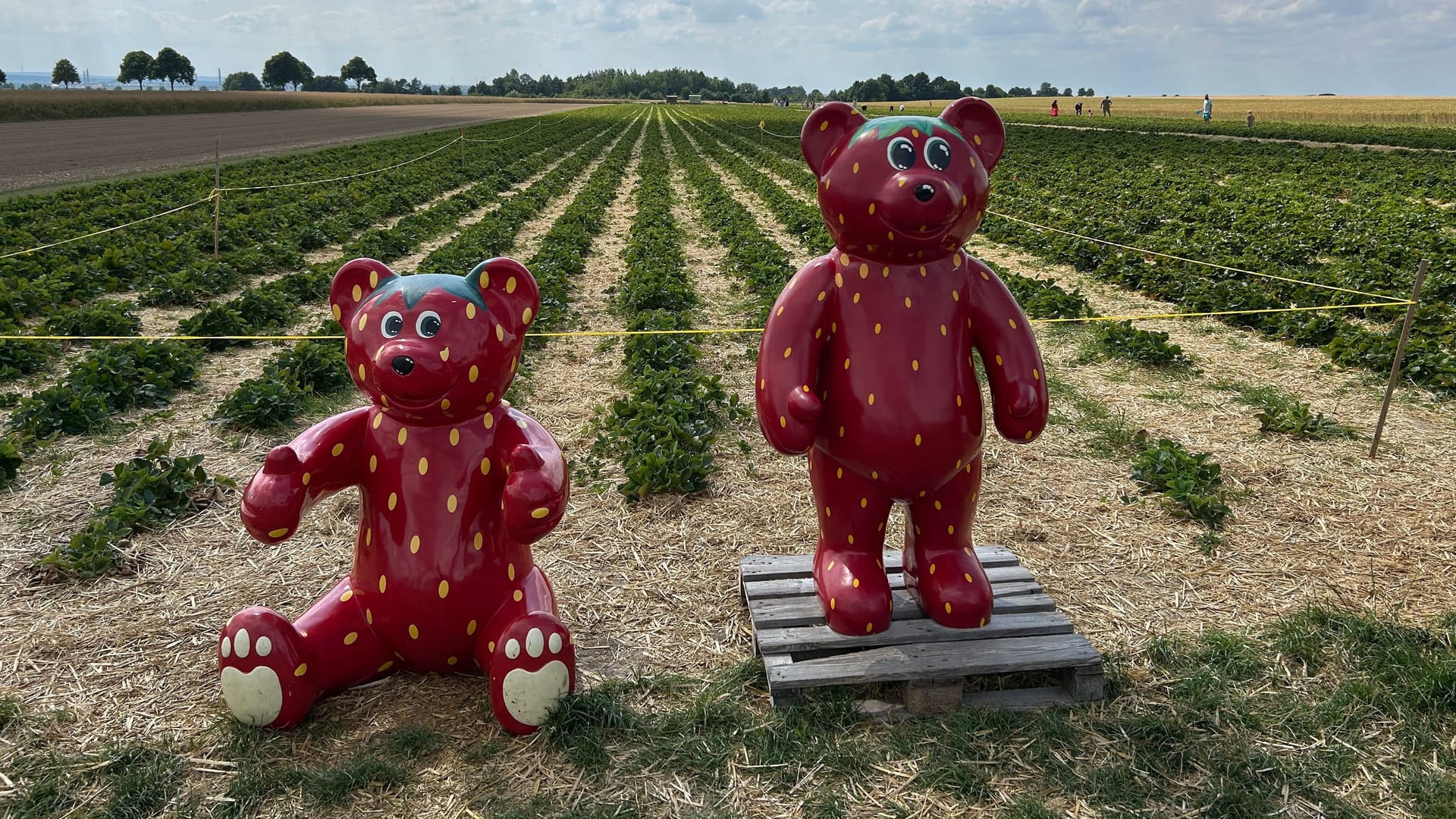 Rote Figuren vor dem Feld in Evessen: Hier pflücken die Besucher jedes Jahr im Sommer Erdbeeren selbst.