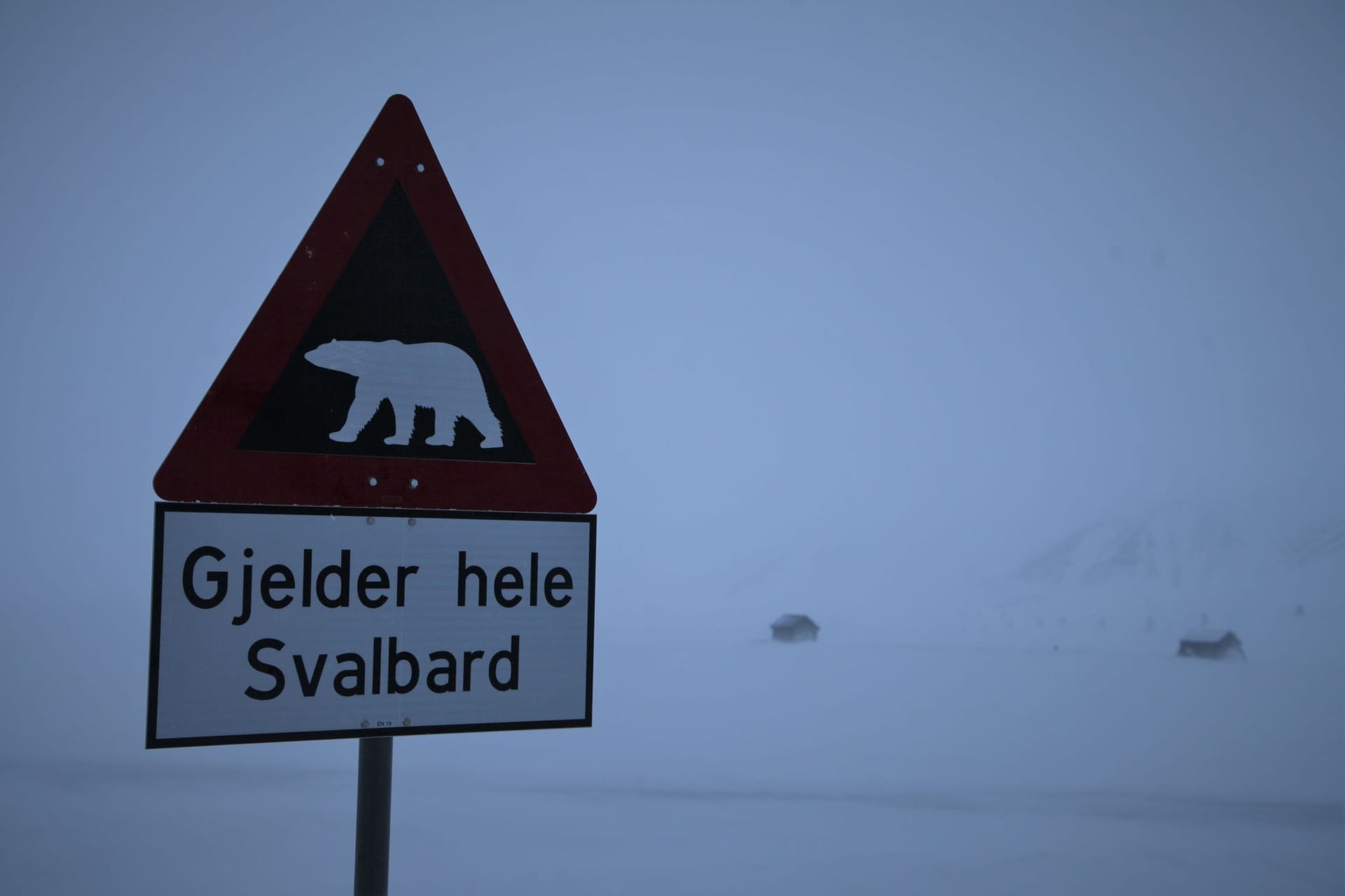 Eisbär auf Spitzbergen erschossen