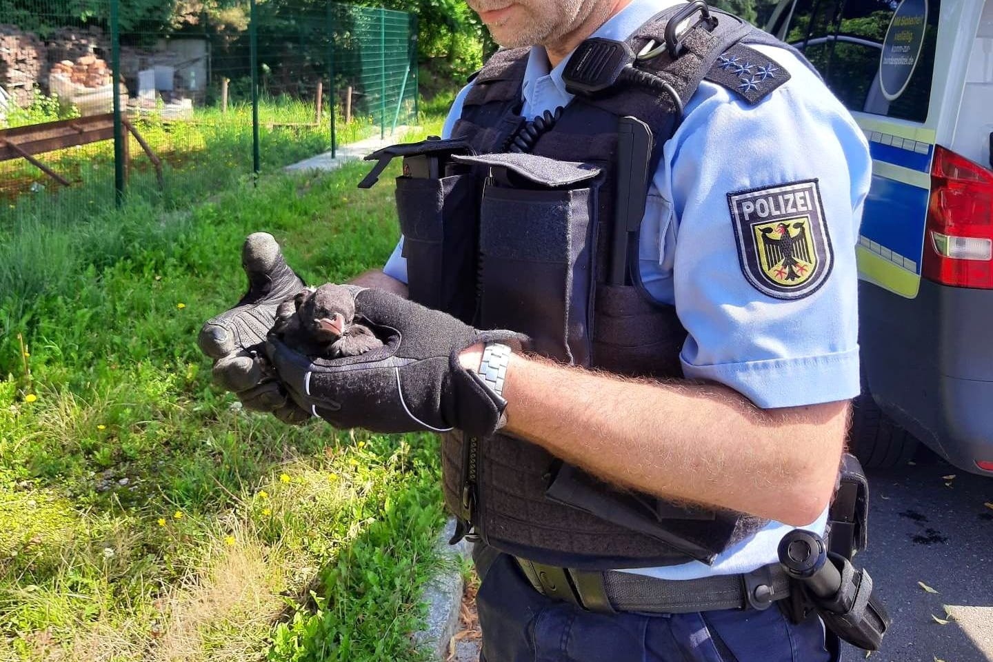 Bundespolizist hält Küken in der Hand: Auch die Feuerwehr unterstützte kurze Zeit später die Rettungsaktion.