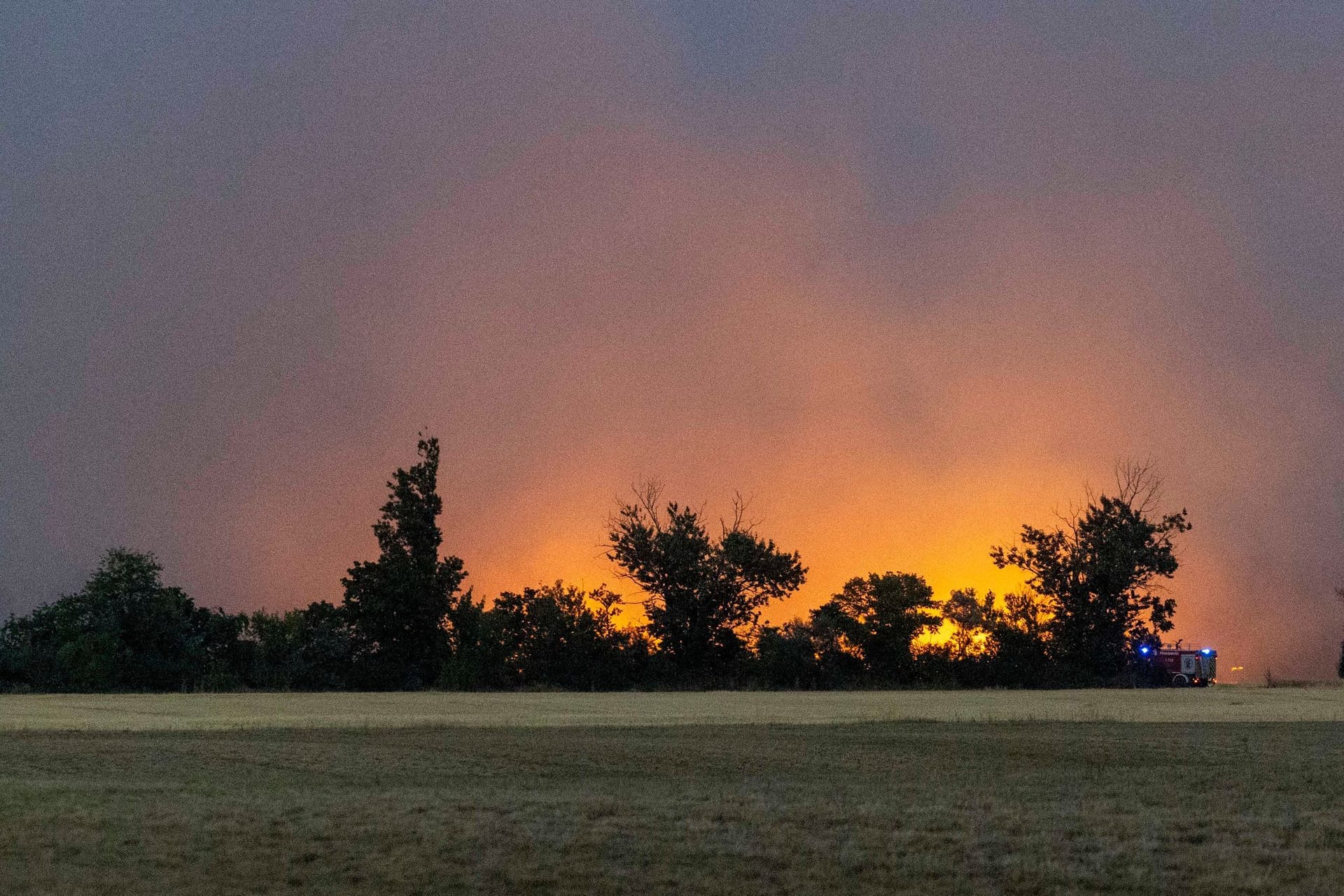 Waldbrand in der Gohrischheide