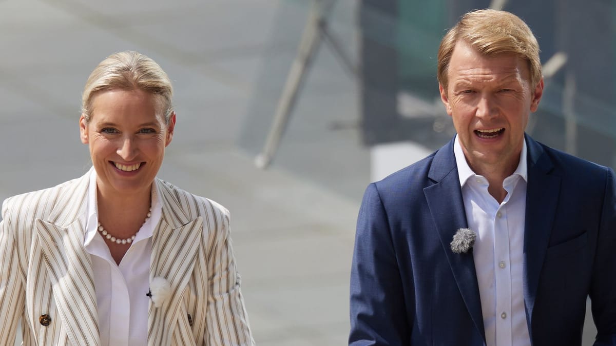 Alice Weidel im ARD-Sommerinterview mit Markus Preiß: Zuschauer reagieren