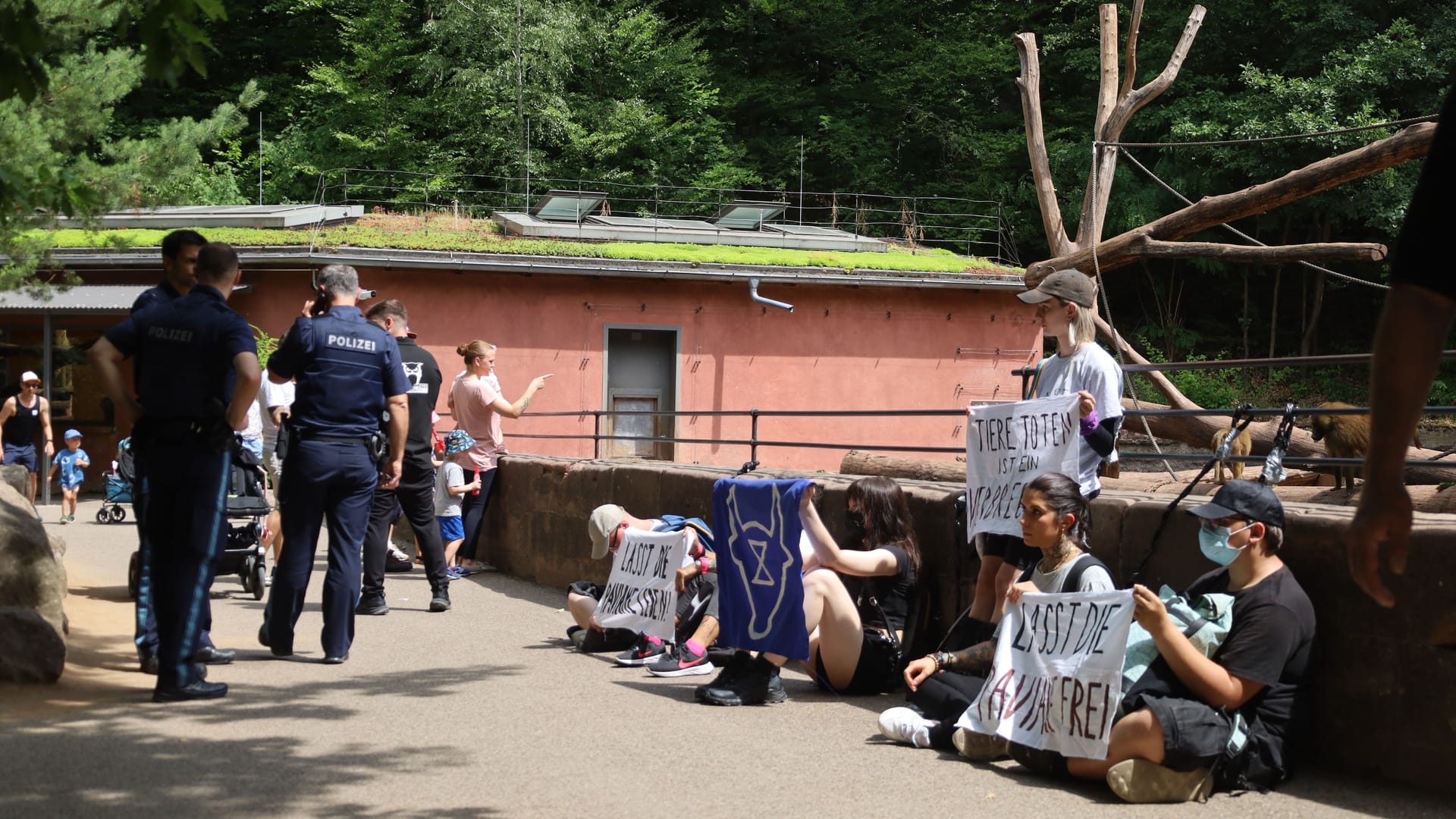 Am Sonntag hat die Gruppe Animal Rebellion mit einem stillen Protest vor dem Pavian-Gehege in Nürnberg für Aufsehen gesorgt.
