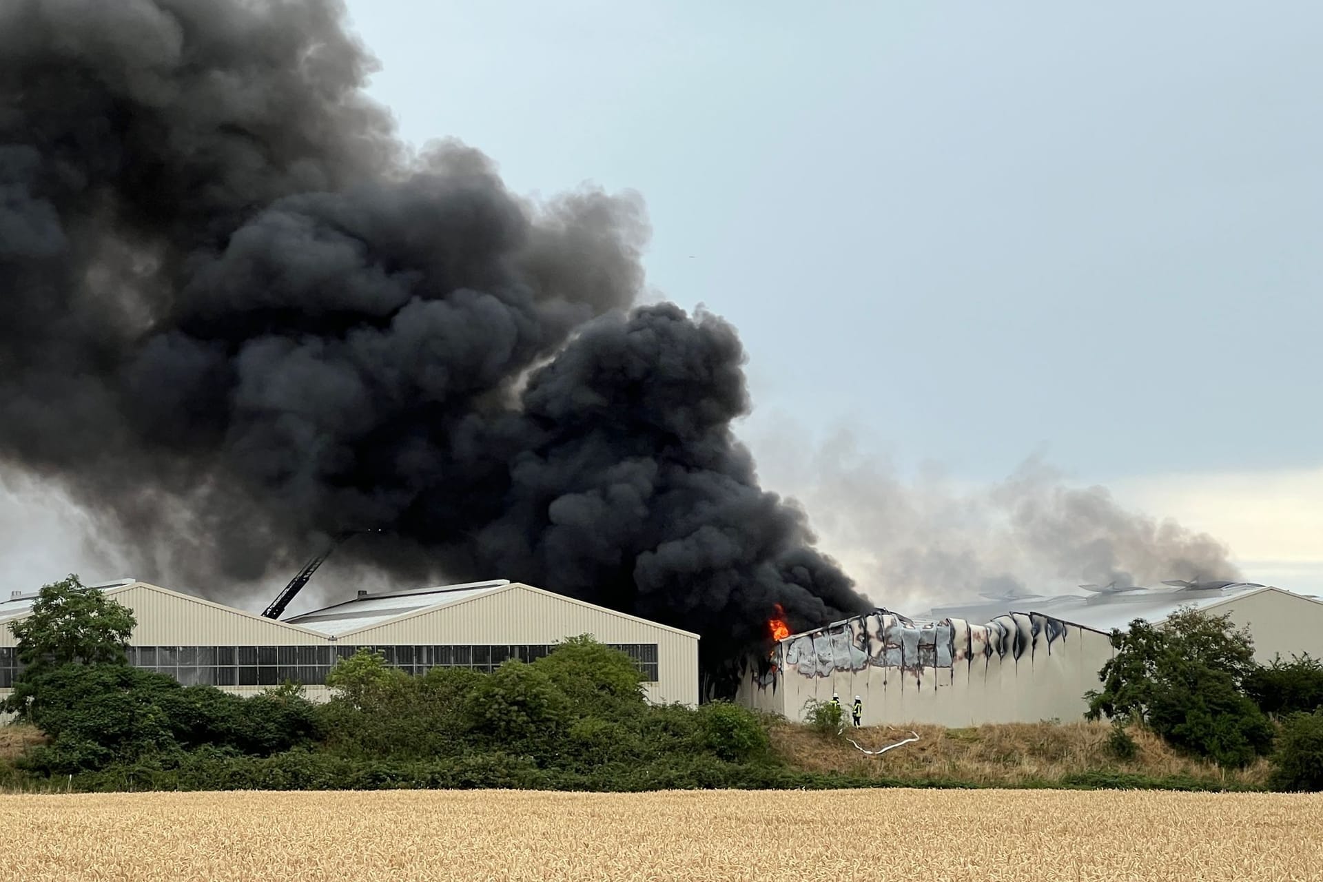 Brand in Entsorgungsbetrieb in Swisttal