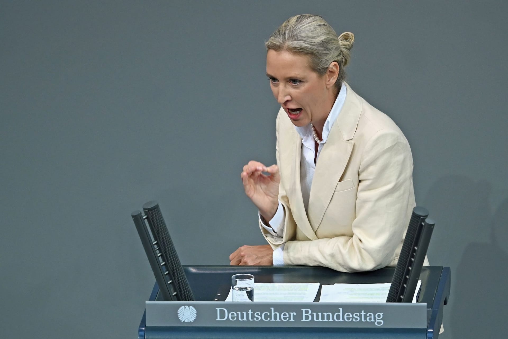 Bundestag - Haushalt