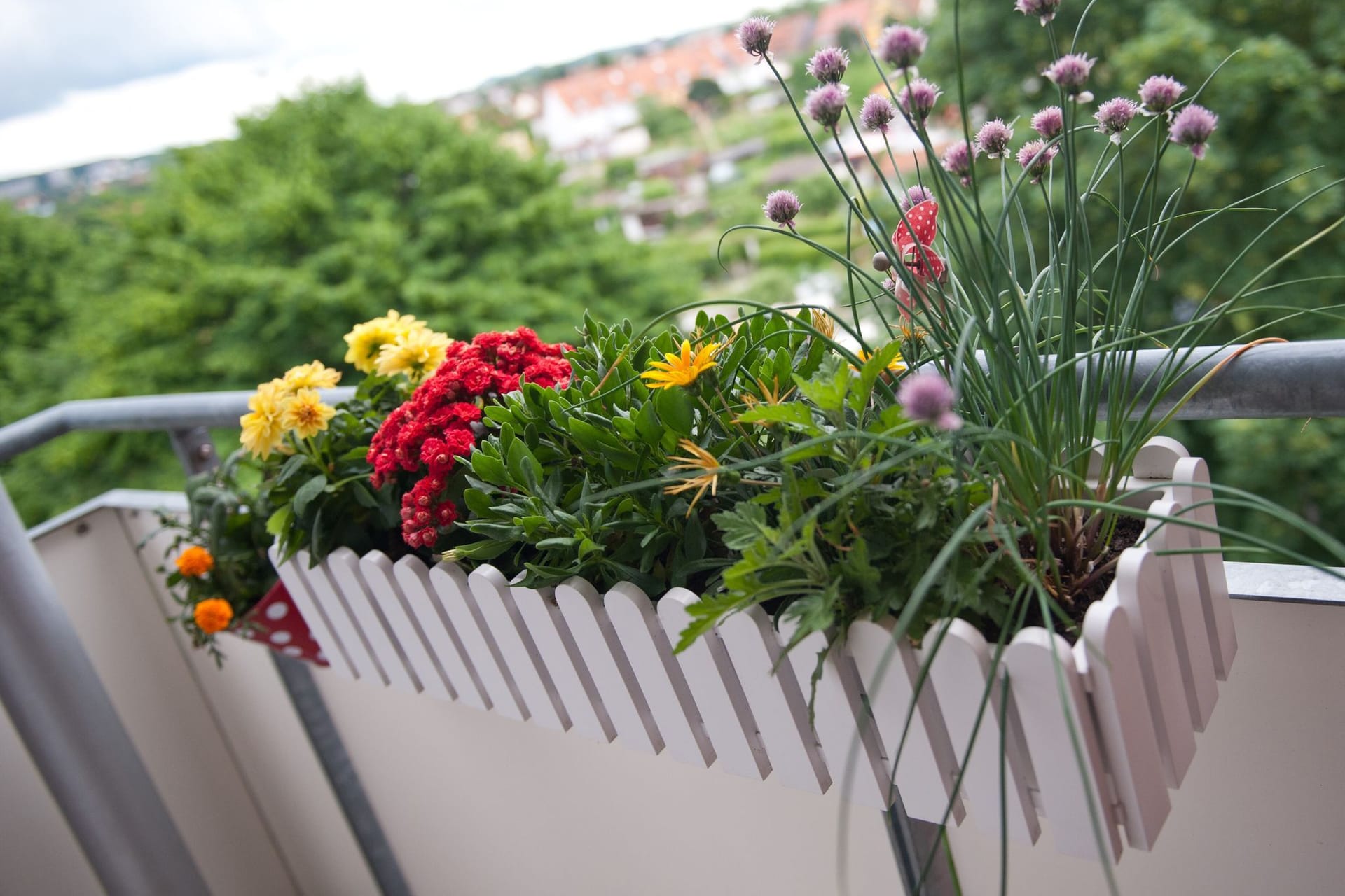 Blumenkasten auf dem Balkon